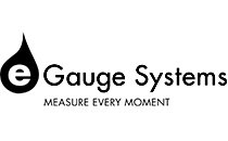 eGauge Systems